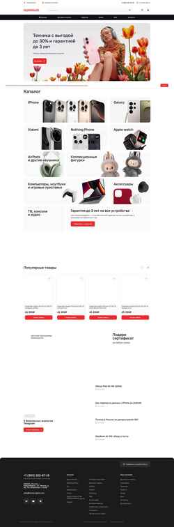 Screenshot repremium.ru