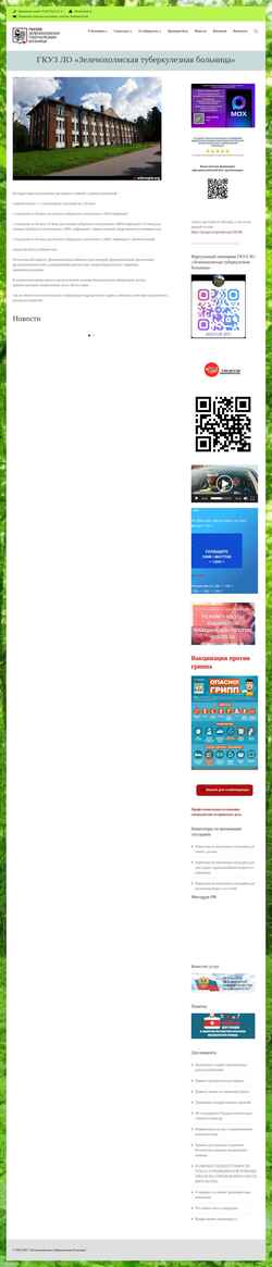 Screenshot zhtub.ru