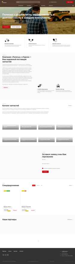 Screenshot polesse.ru