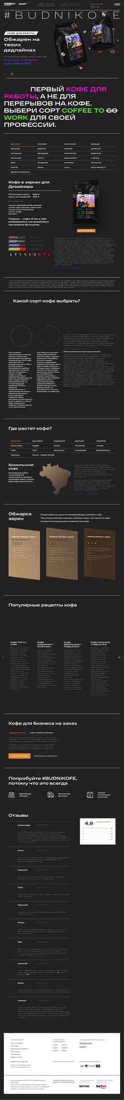 Screenshot budnikofe.ru