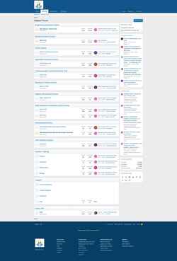 Ekraanipilt forum.prutor.ai