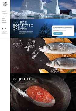 Screenshot aisbereg.ru