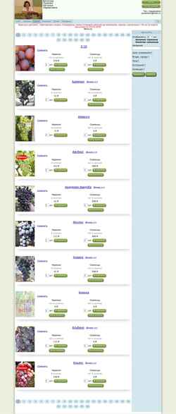 Screenshot shop.vinograd7.ru