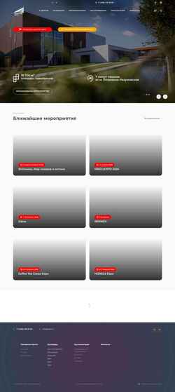 Schermata texpo.ru