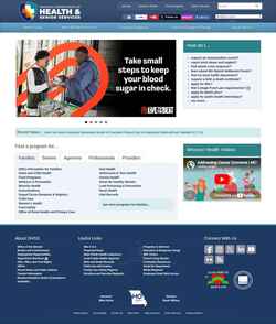 Captura de pantalla health.mo.gov