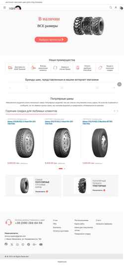 Ekran görüntüsü transtire.com.ua