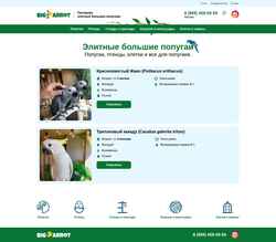 Screenshot bigparrot.ru