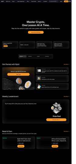 Snímek obrazovky learn.bybit.global
