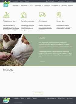 Screenshot eco-protein.ru