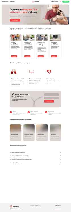 Screenshot homenet.su