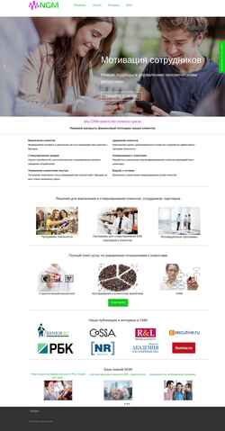 Screenshot ngmsys.com