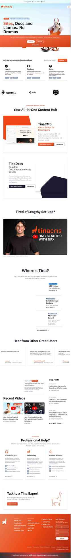 Skærmbillede tina.io