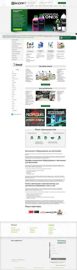 Στιγμιότυπο οθόνης profmoyka.ru