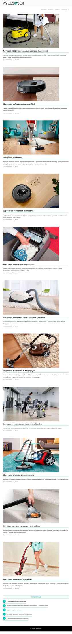 Screenshot pylesoser.ru