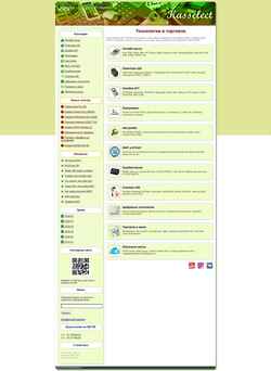 Captura de pantalla kasselect.ru