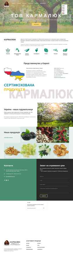 Screenshot karmaliuk.com