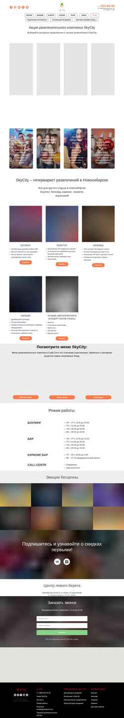 Στιγμιότυπο οθόνης skynsk.ru