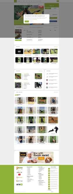 Screenshot en.working-dog.com