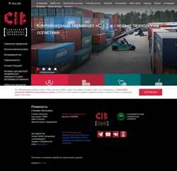 スクリーンショット cit-ekb.ru