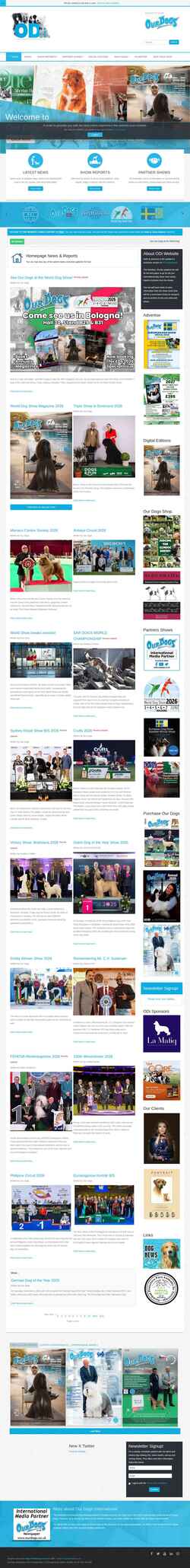 Screenshot ourdogsinternational.com