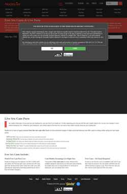 Screenshot nudelive.com
