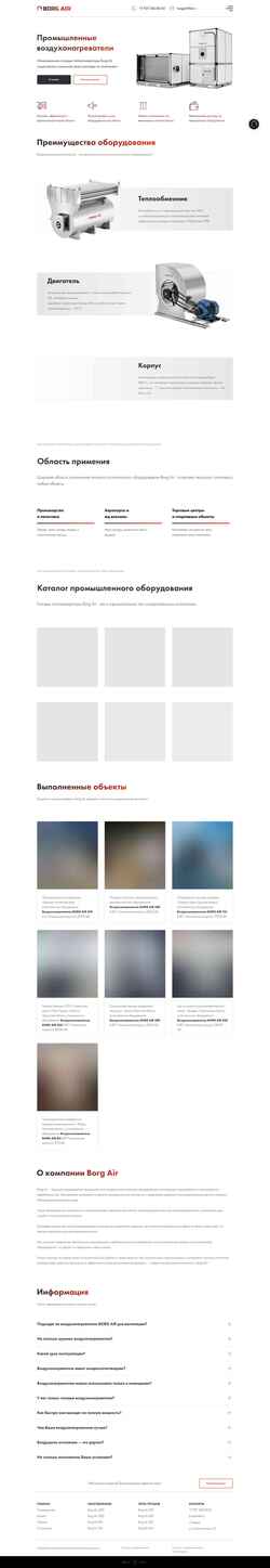 Schermata borg-air.ru