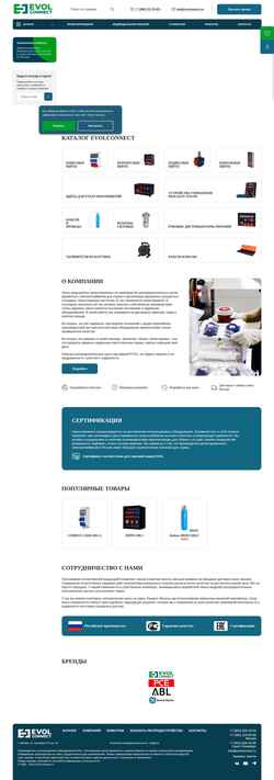 Posnetek zaslona evolconnect.ru