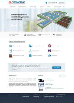 Screenshot sovmolko.ru