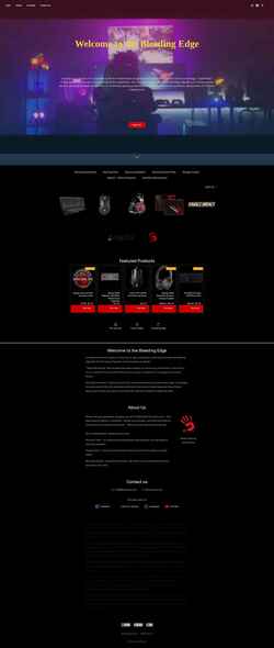 Screenshot bloodyusa.ecwid.com