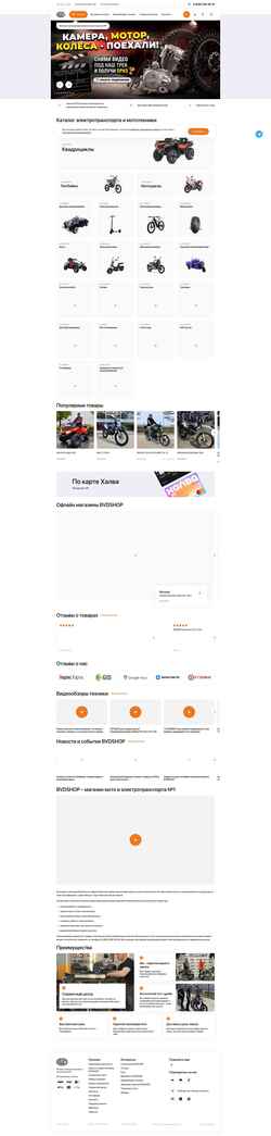 Schermata kazan.bvdshop.ru
