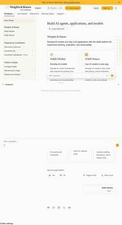 Captura de tela docs.wandb.ai