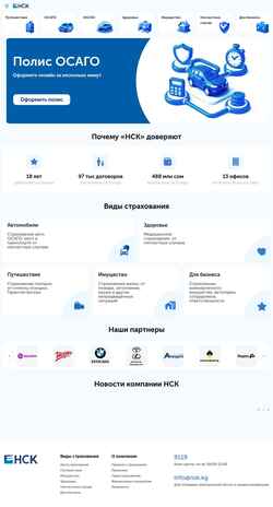 Скриншот nsk.kg