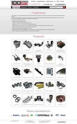 Zrzut ekranu 100barcompany.ru