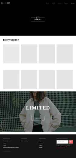 Screenshot catinhat.shop
