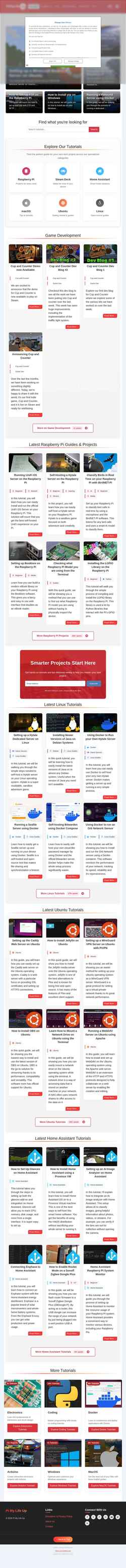 Captură de ecran pimylifeup.com