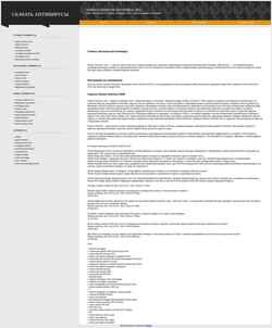Skærmbillede antivirus-2008.narod.ru