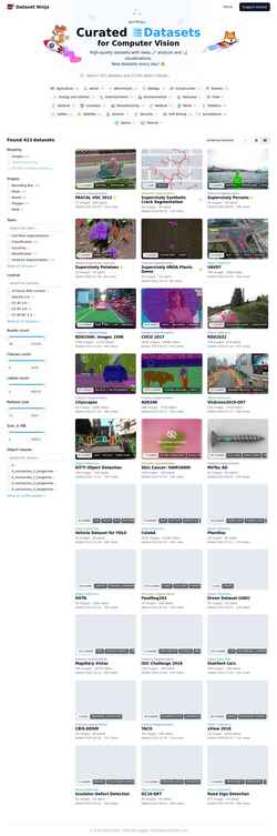 Képernyőkép datasetninja.com
