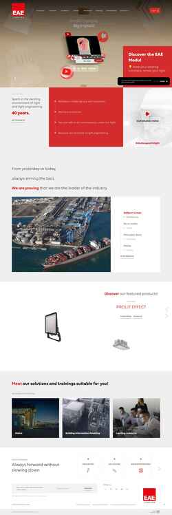 Zrzut ekranu eaelighting.com