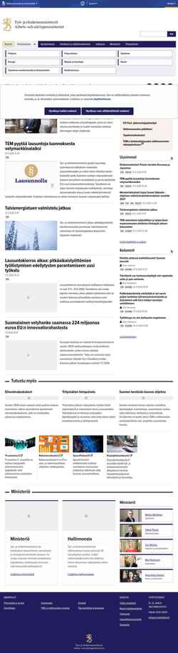 Snimka zaslona tem.fi