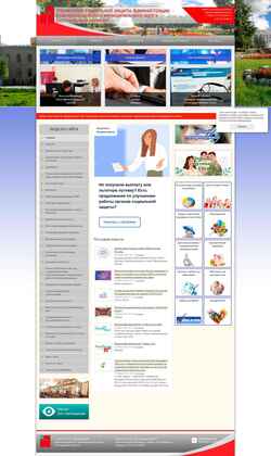 Screenshot biruchuszn.ru