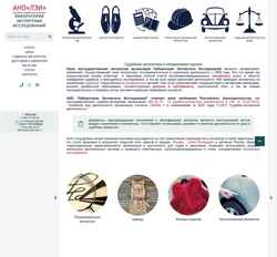 Screenshot expertizalab.ru