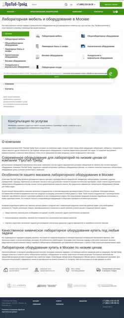 Zrzut ekranu plt-lab.ru