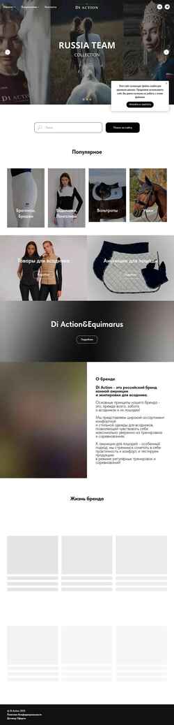 Zrzut ekranu diaction-shop.ru