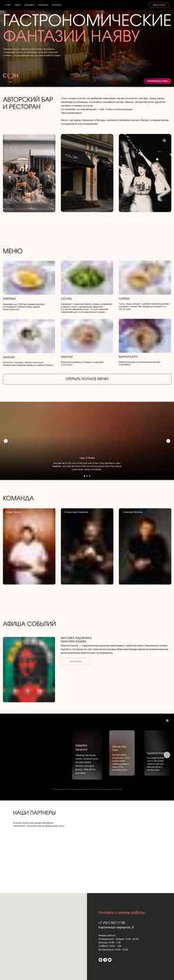 Screenshot son.spb.ru