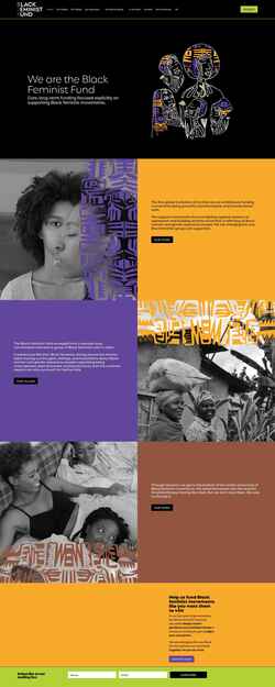 Snímek obrazovky blackfeministfund.org