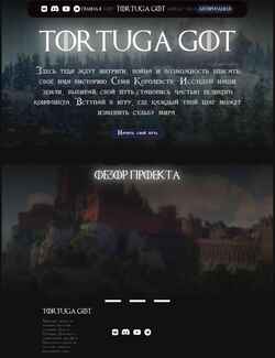 Zrzut ekranu tortugagot.com