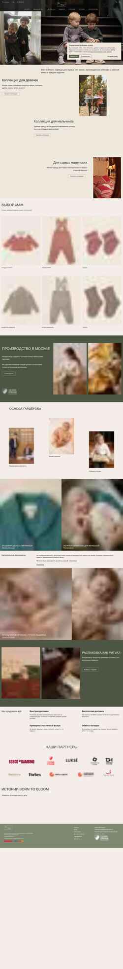 Captura de pantalla borntobloom.ru