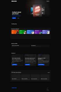 Snimka zaslona welook.io
