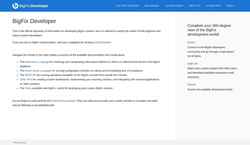 Captura de pantalla developer.bigfix.com