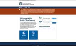 Captura de pantalla boiefiling.fincen.gov